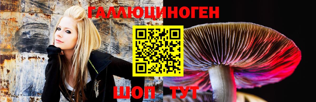 Псилоцибиновые грибы MAGIC MUSHROOMS  магазин    Коркино  Вход с VPN 